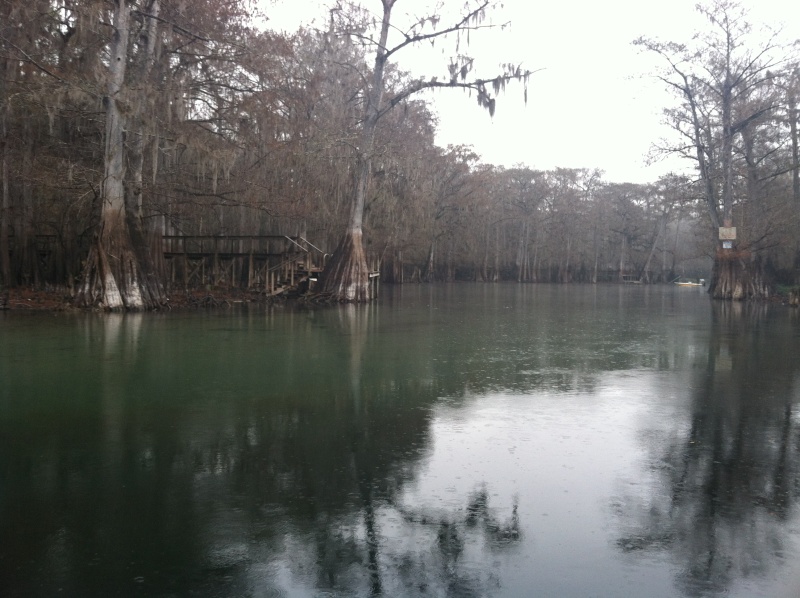 Entrance to the Ichetucknee River off the Santa Fe.