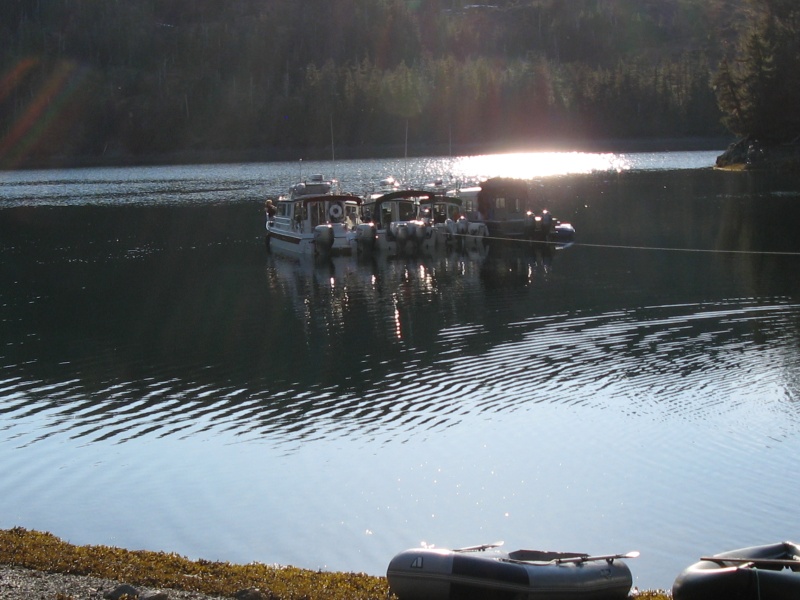 Evening Olsen Cove Prince William Sound Yacht Club