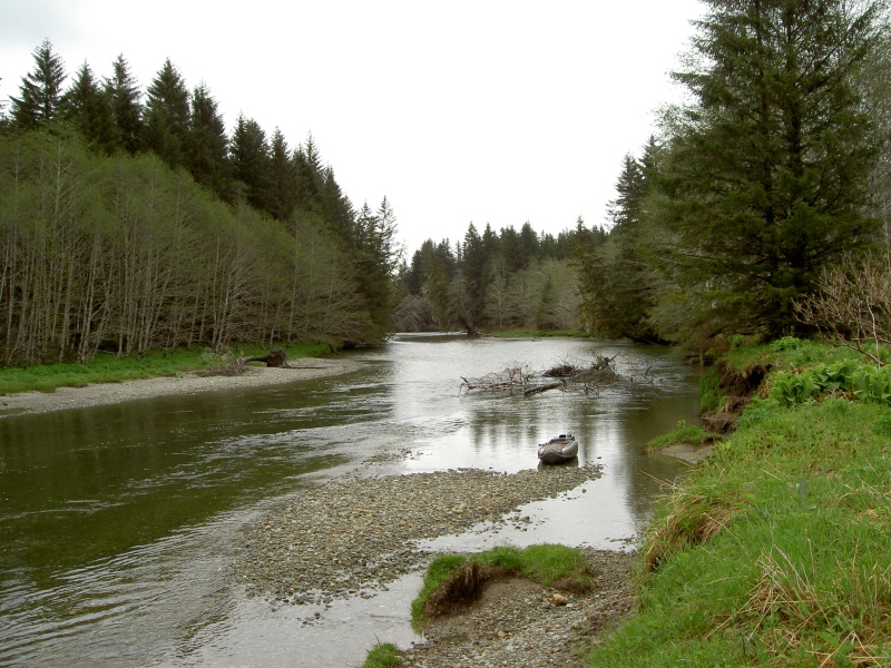 exploring lisianski river with mokai