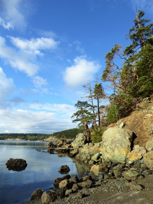 Exploring the shoreline at low tide.