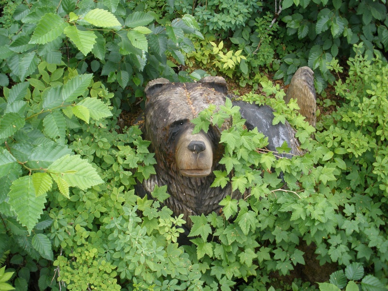 Fake Bear