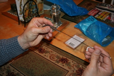 fall 2007 20071120 0119