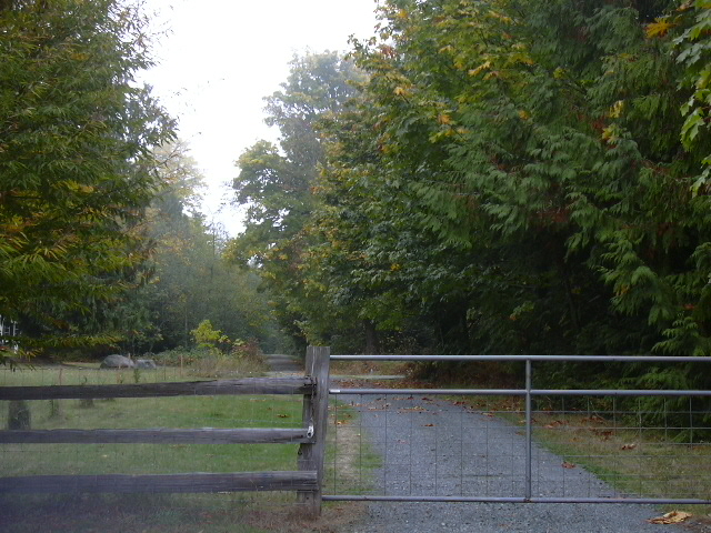 Fall at Freshwater Bay