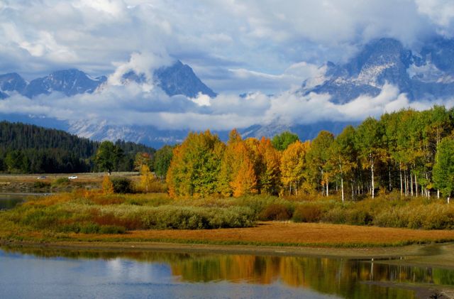 Fall colors