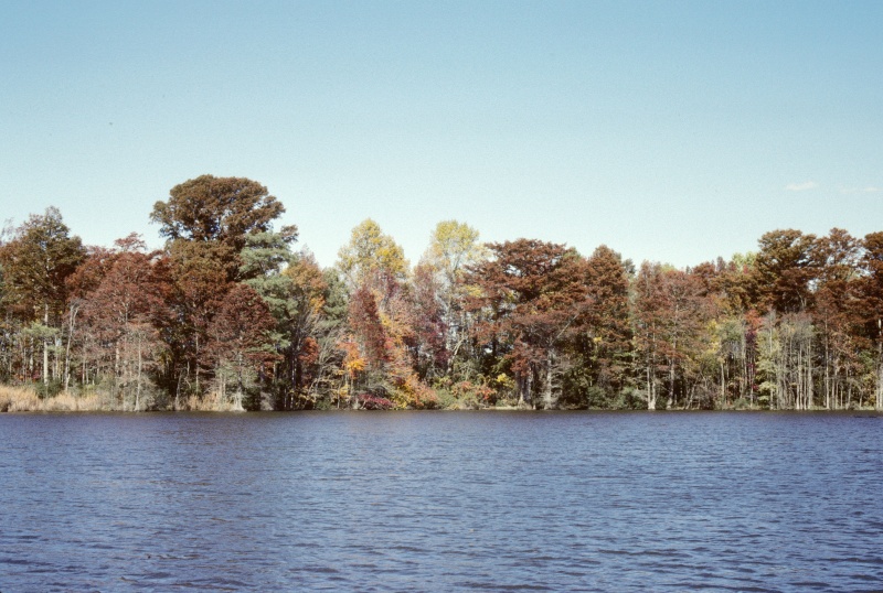 Fall in VA on the ICW 1988