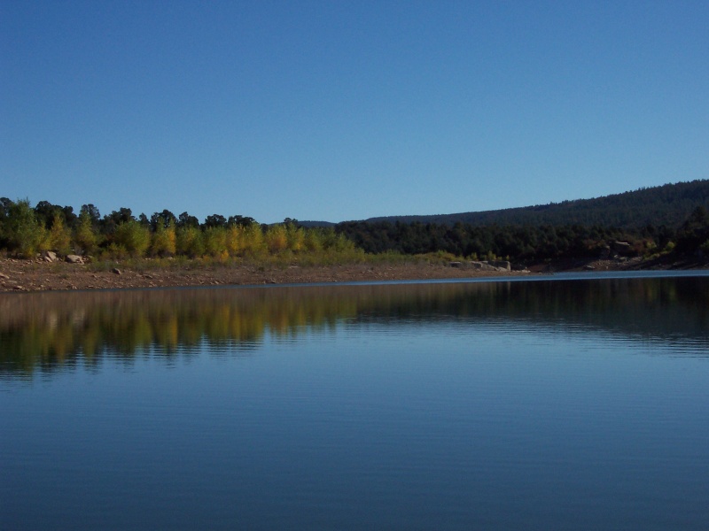 Fall reflections.