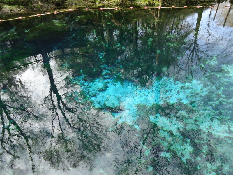 Fanning Springs.  30 ft+ deep.  Around a million gallons a day flow.