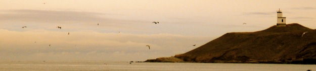 Farewell, San Juan Islands