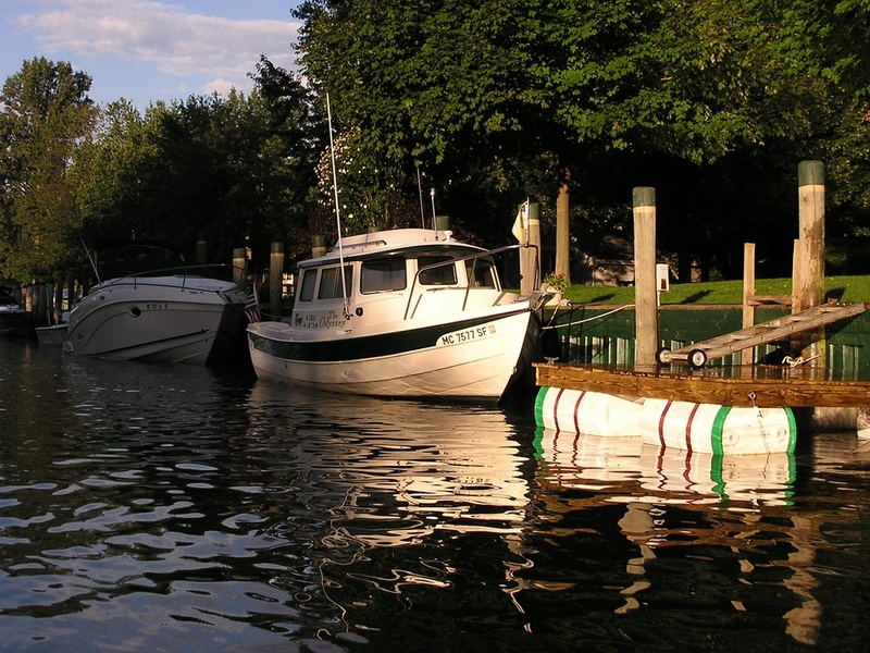 FawnIsland Ont.