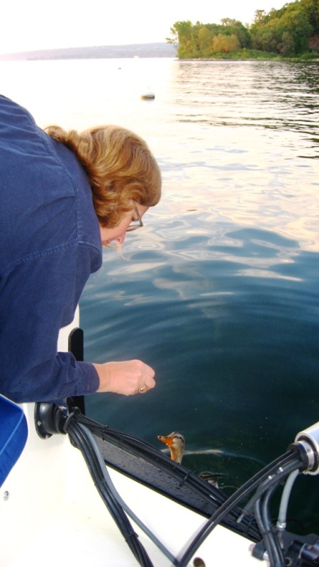 Feeding ducks on mooring ball outside of Ithaca, NY