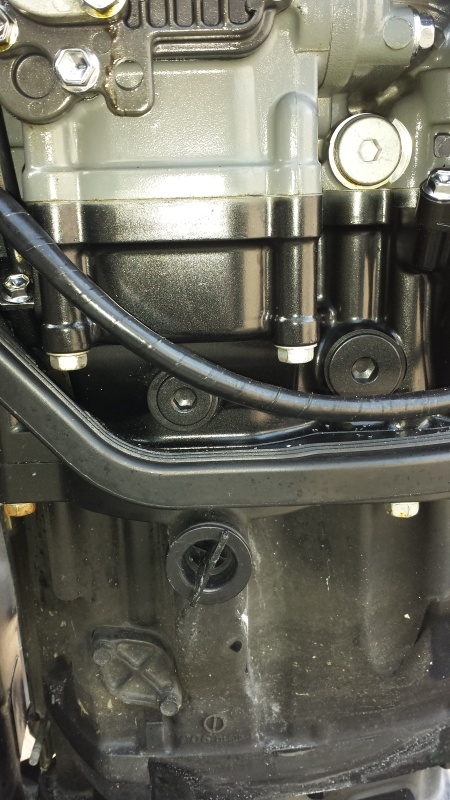 Finally got the cover off.  Located the plug