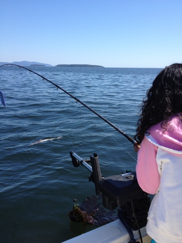 First fish landed was a seagull, second fish was a mud shark.............