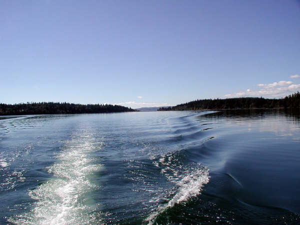 First Wake.JPG
