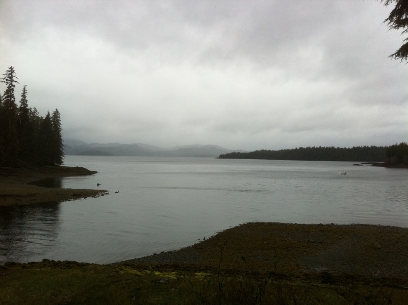 Fish Creek May 8 2011