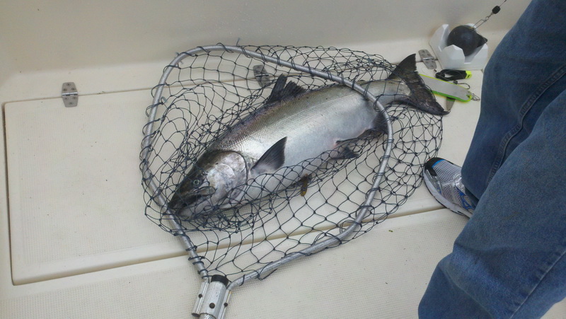 Fish on deck