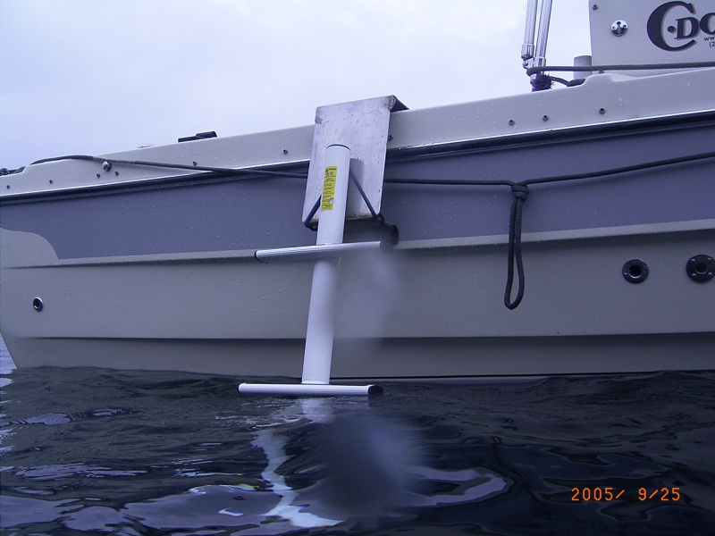 (Fishtales) Dive Ladder in the water