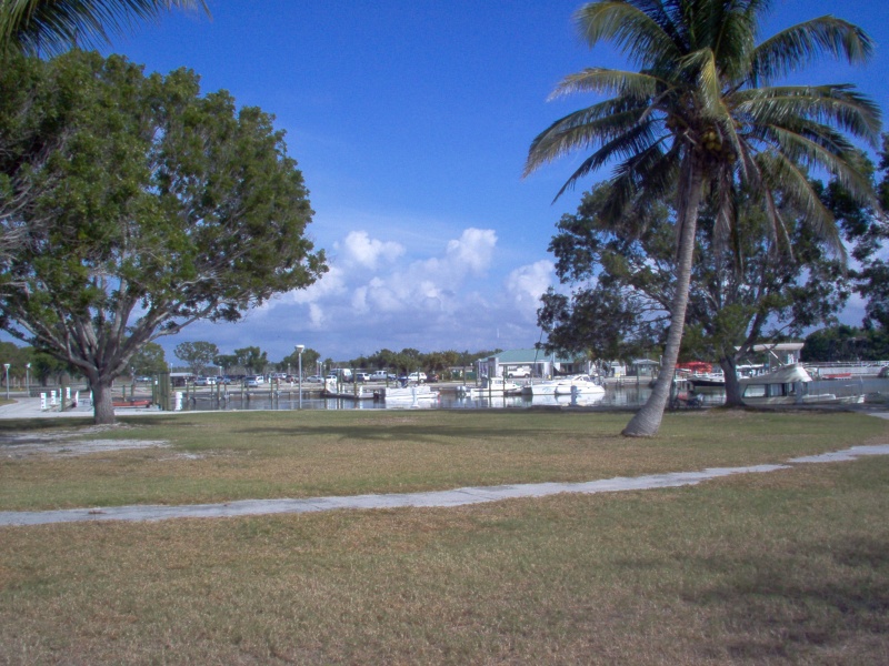 Flamingo, Fl