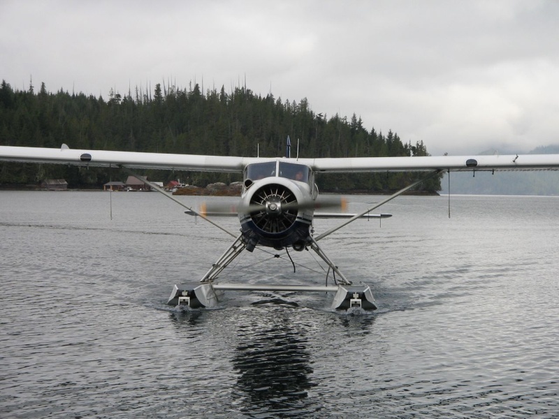 Float plane arriving at Shawl Bay
