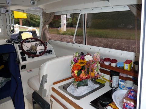 Flowers for Honeyspot, insurance just in case something goes awry.