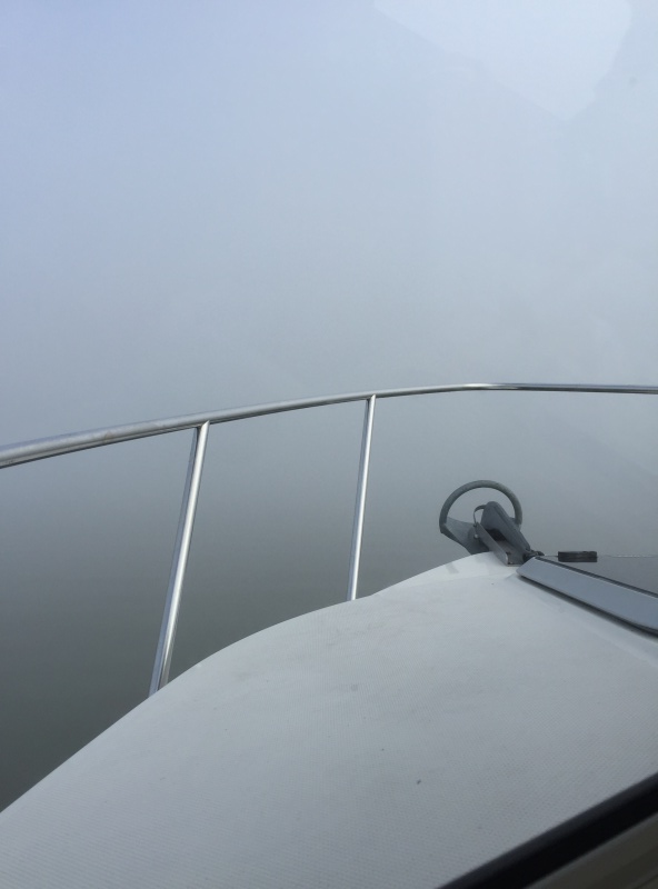 Foggy morning!