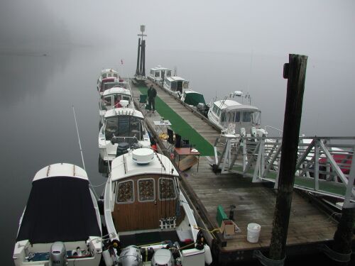 Foggy Saturday Morning at the Dock.jpg