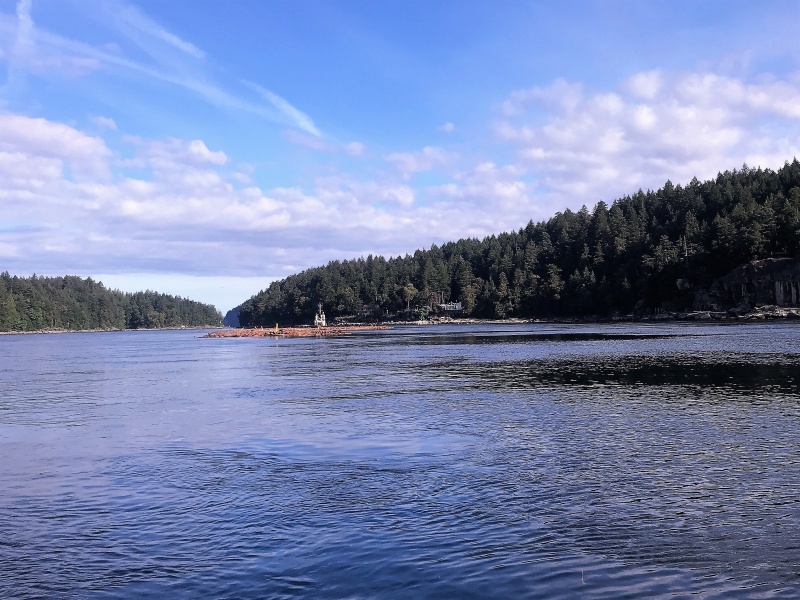 Following Log Tow into Dodd Narrows