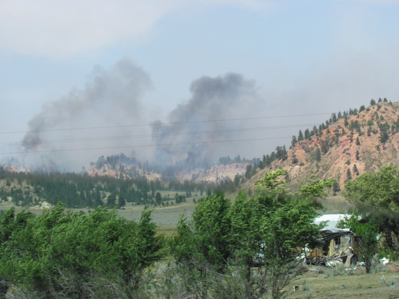 Forest Fire in the Custer National Forest east of Lame Deer Montana Northern Cheyenne Indian Reservation