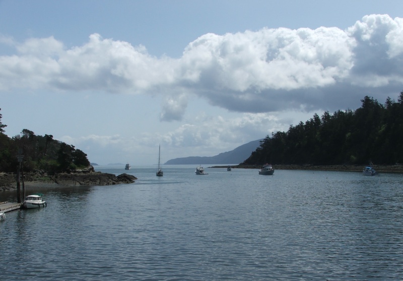 Fossil Bay