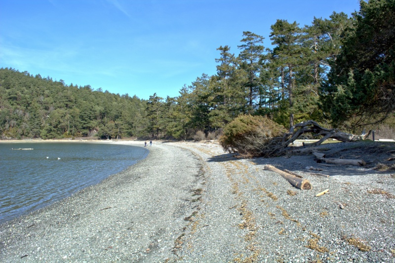 Fox cove beach
