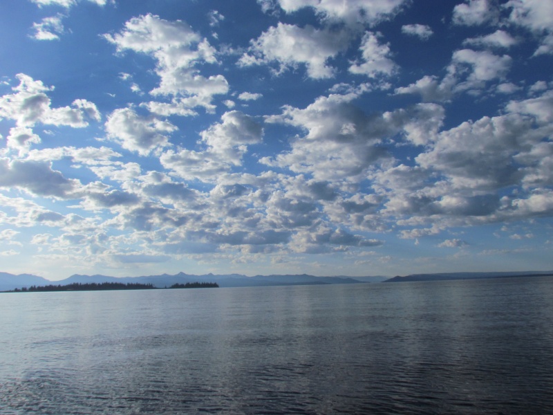 Frank Island on Yellowstone Lake water temp 57 degrees