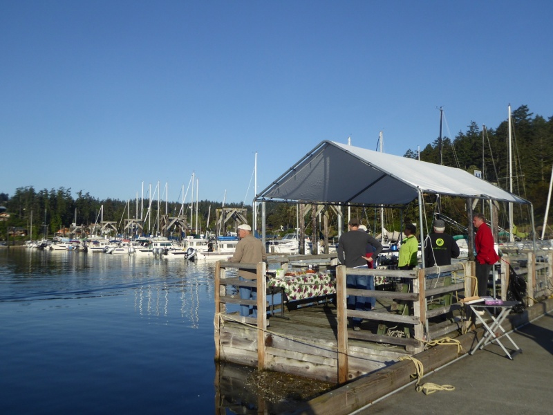 Friday Harbor 009 - Saturday Morning