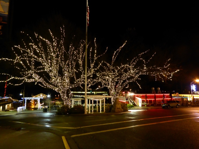 Friday Harbor Christmas Lights