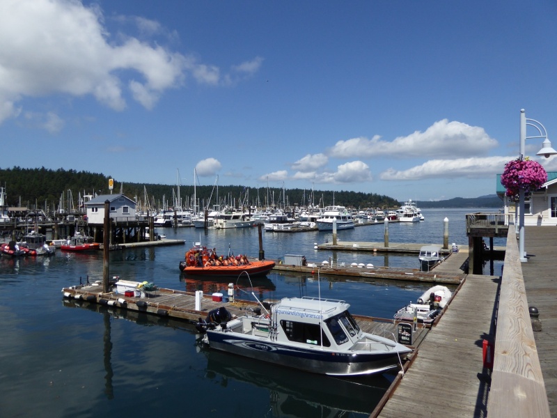 Friday Harbor on Sunday afternoon