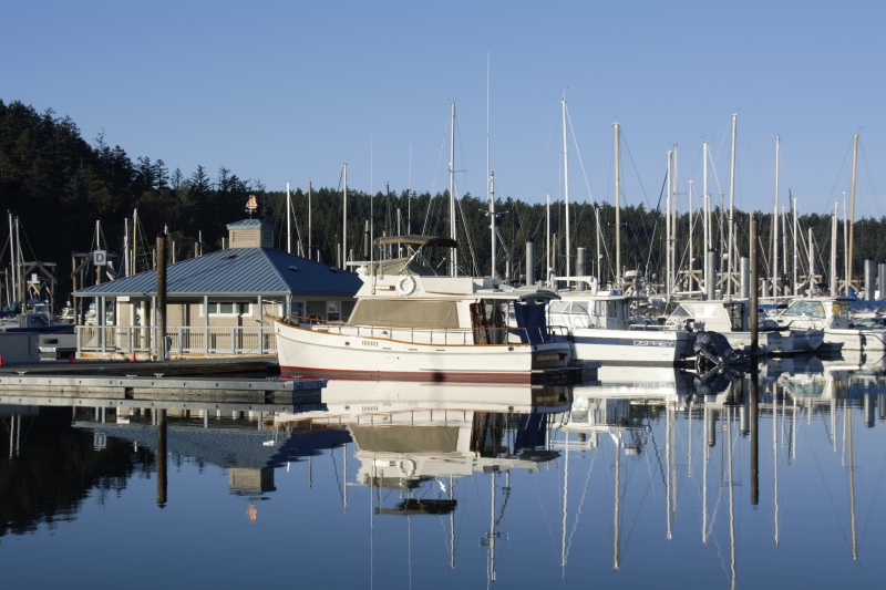 Friday Harbor on Sunday Evening, March 11th