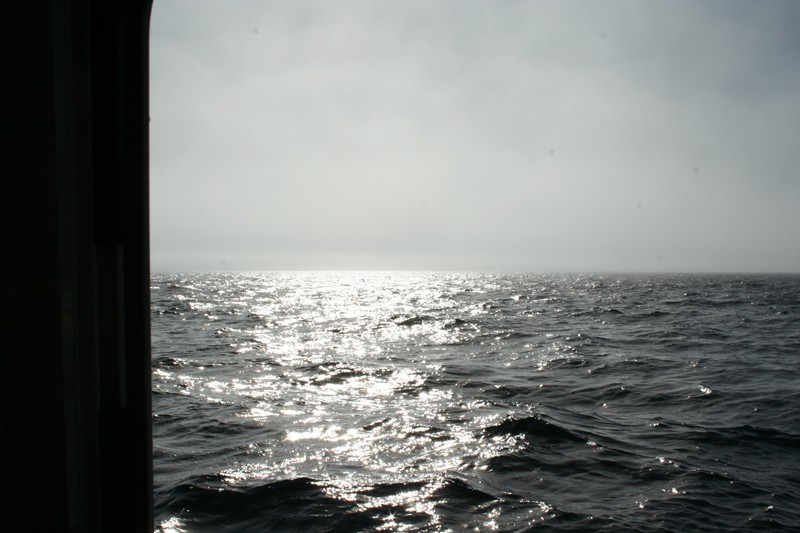 Full steam ahead, as fog starts to lift east of Protection Island