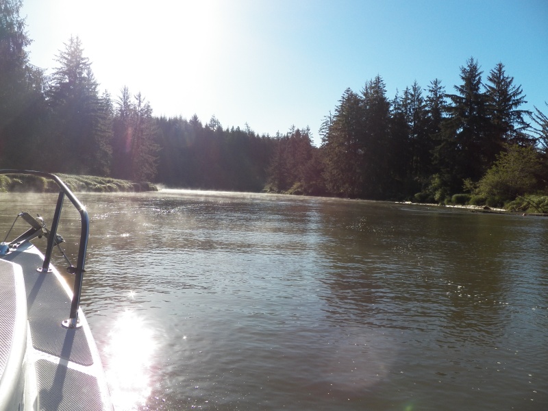 Further upriver was just steamy, swampy mud-banked river.