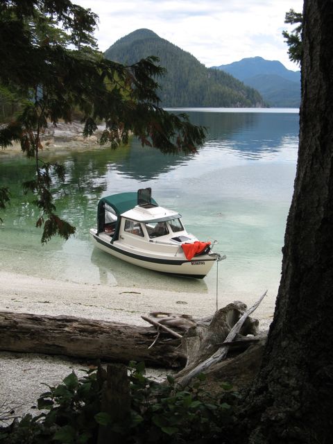 Gaiasika in paradise, Burdwood Group, Broughtons