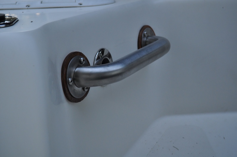grab bar mounted