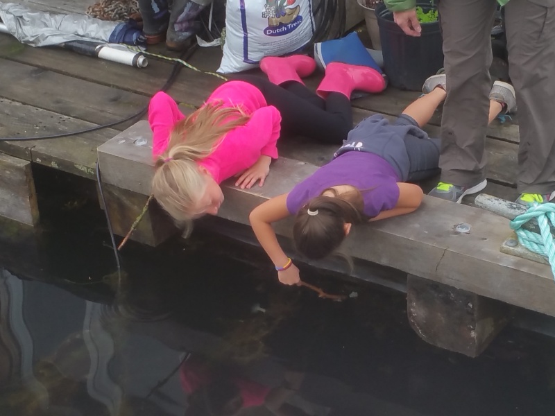 Granddaughters Critter hunting