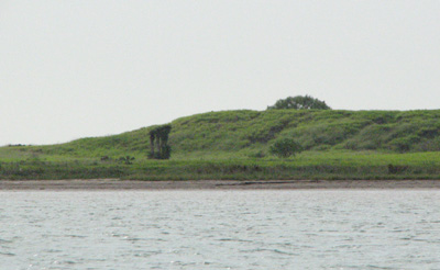 green shoreline, from the heavy rains