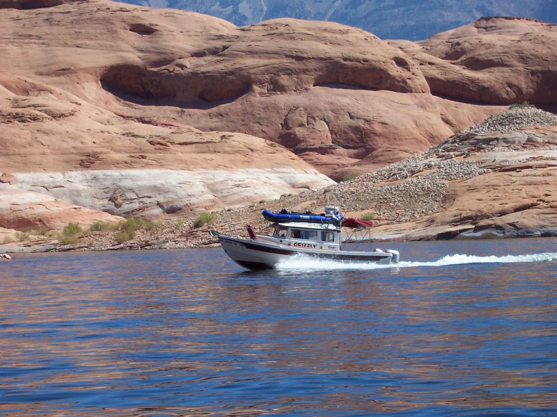 Grissly heading up lake near Rainbow Natural Bridge 9-26