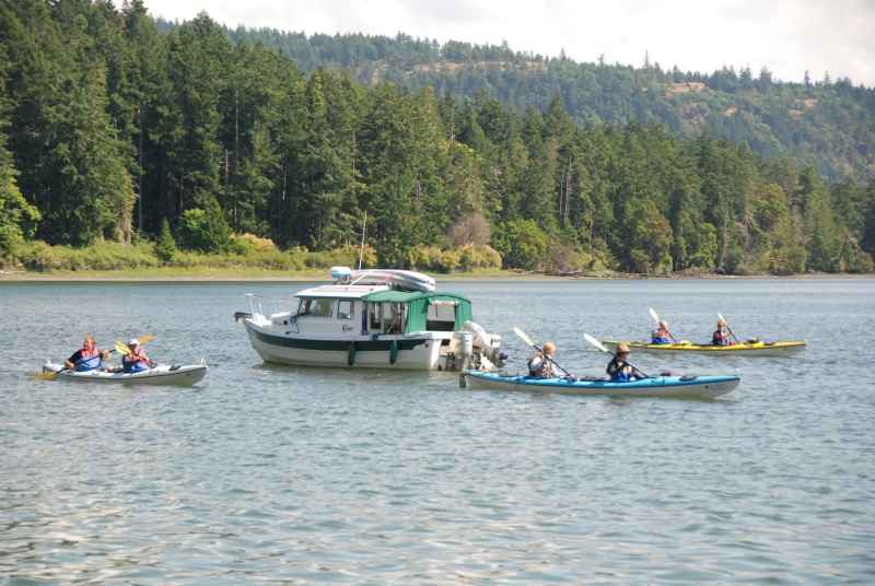 Halcyon and Kayaks, Garrison Bay, San Juan Island