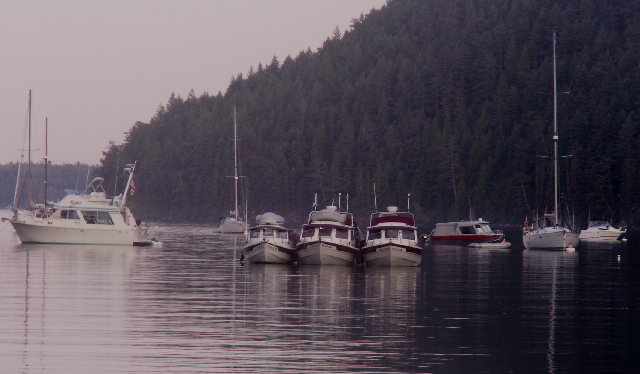 Halcyon, Anna Leigh and Daydream among the  Big Dogs in Eagle Harbor 7-11-09