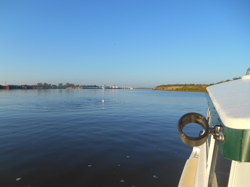 Hard to see, but this is an albino dolphin in the ICW.  I found out that he has his own web site.  "Calcasieu River dolphin" or something like that.