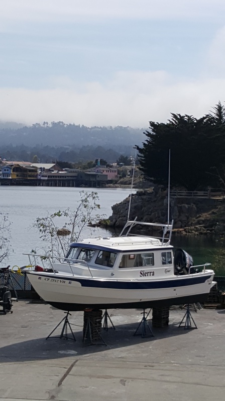 Hauled out in Monterey to buff out and add new lettering