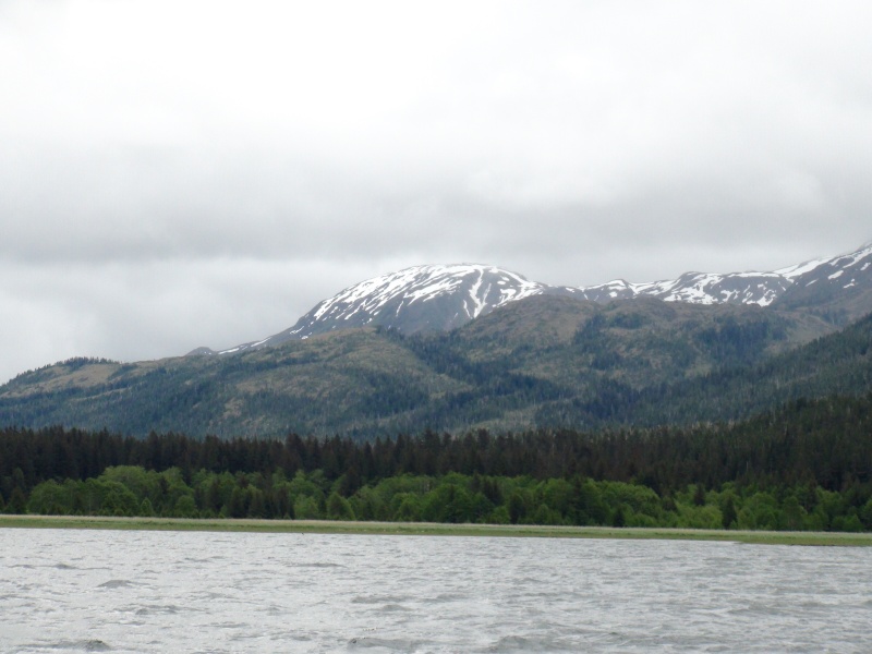 Head of Lisianki inlet from tidal flats