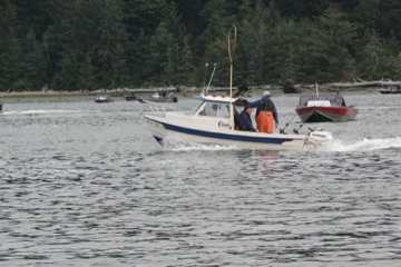 Heading back to the start of the trolling.