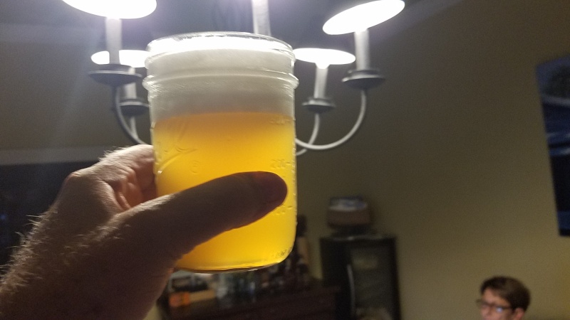 Hermine sour homebrew