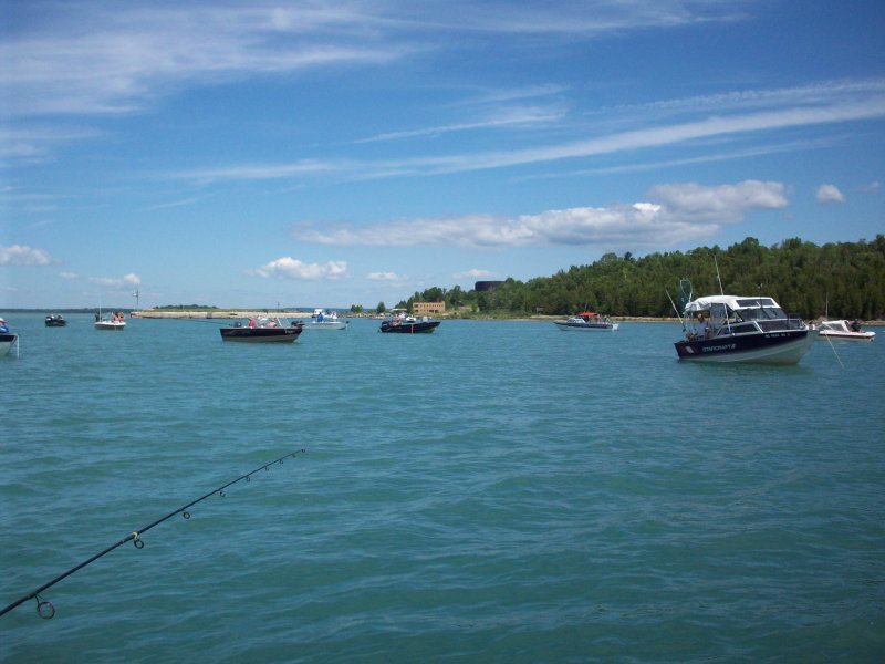 Herring fishing fleet, 2011