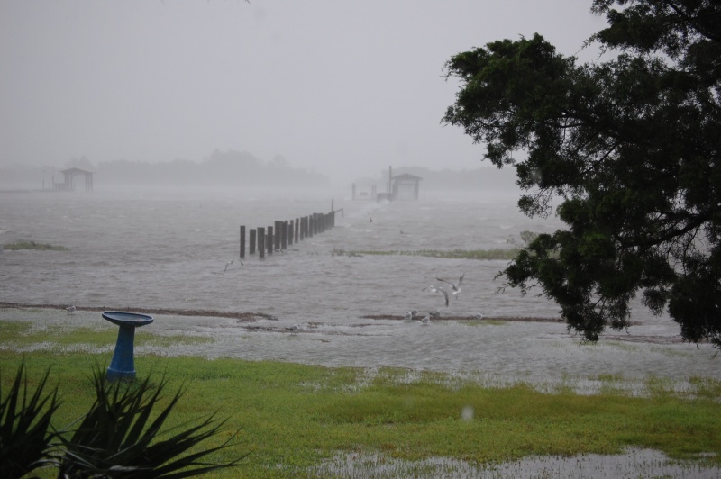 High tide water is 30' from house